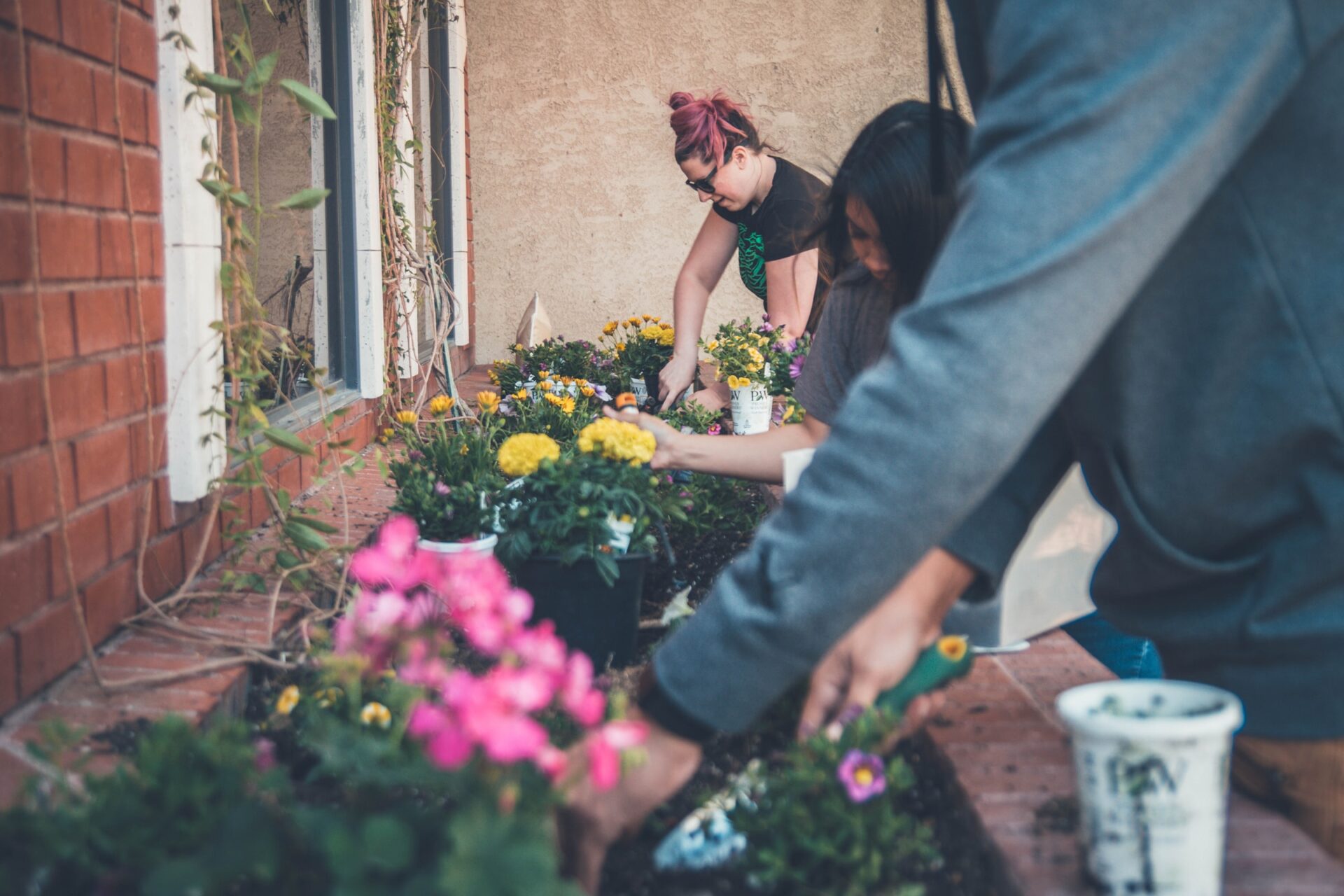 People planting flowers while volunteering in retirement.