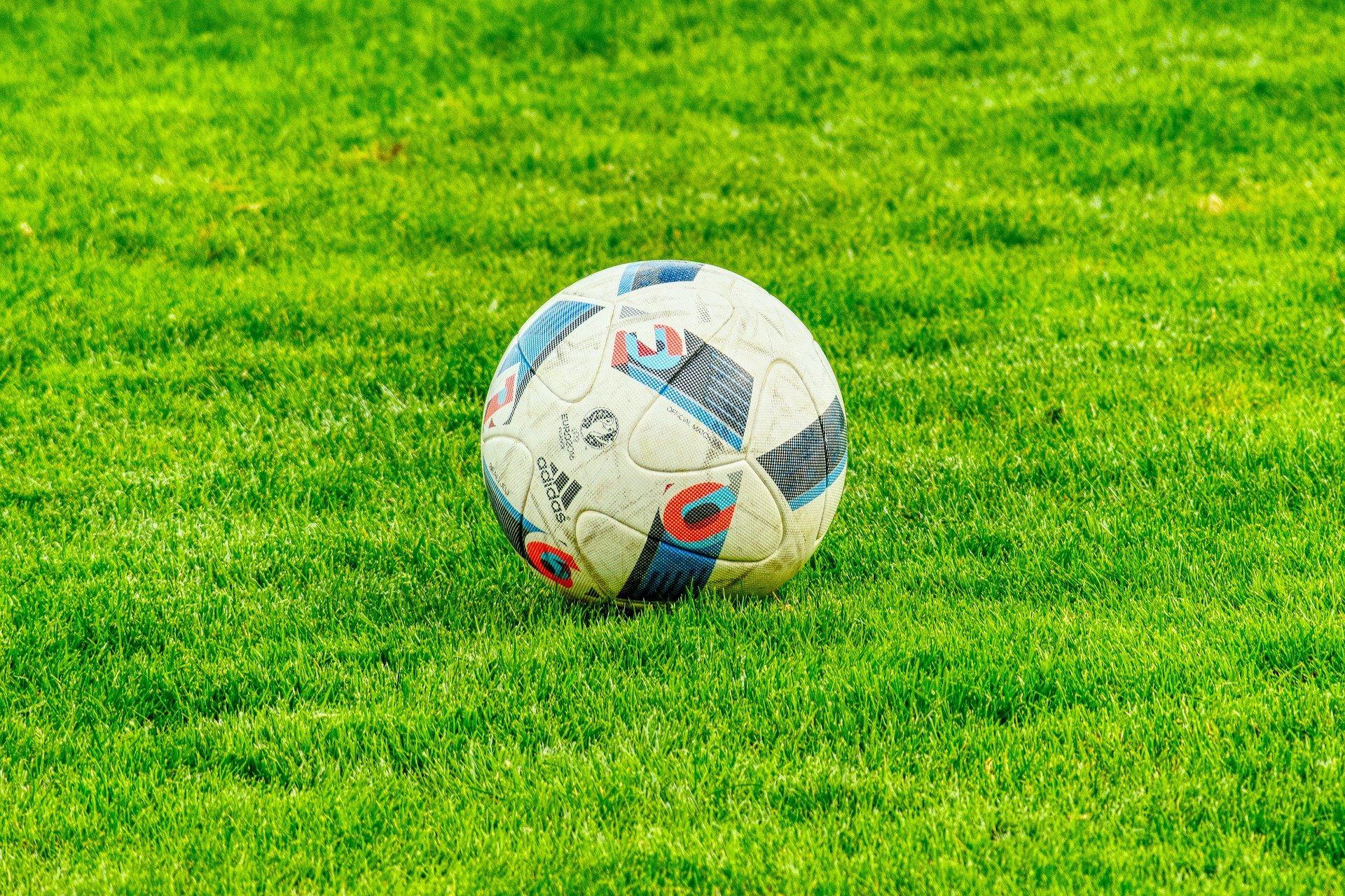 A soccer ball sitting on grass.